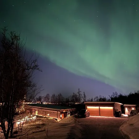 Daire Hakoya Tromsø